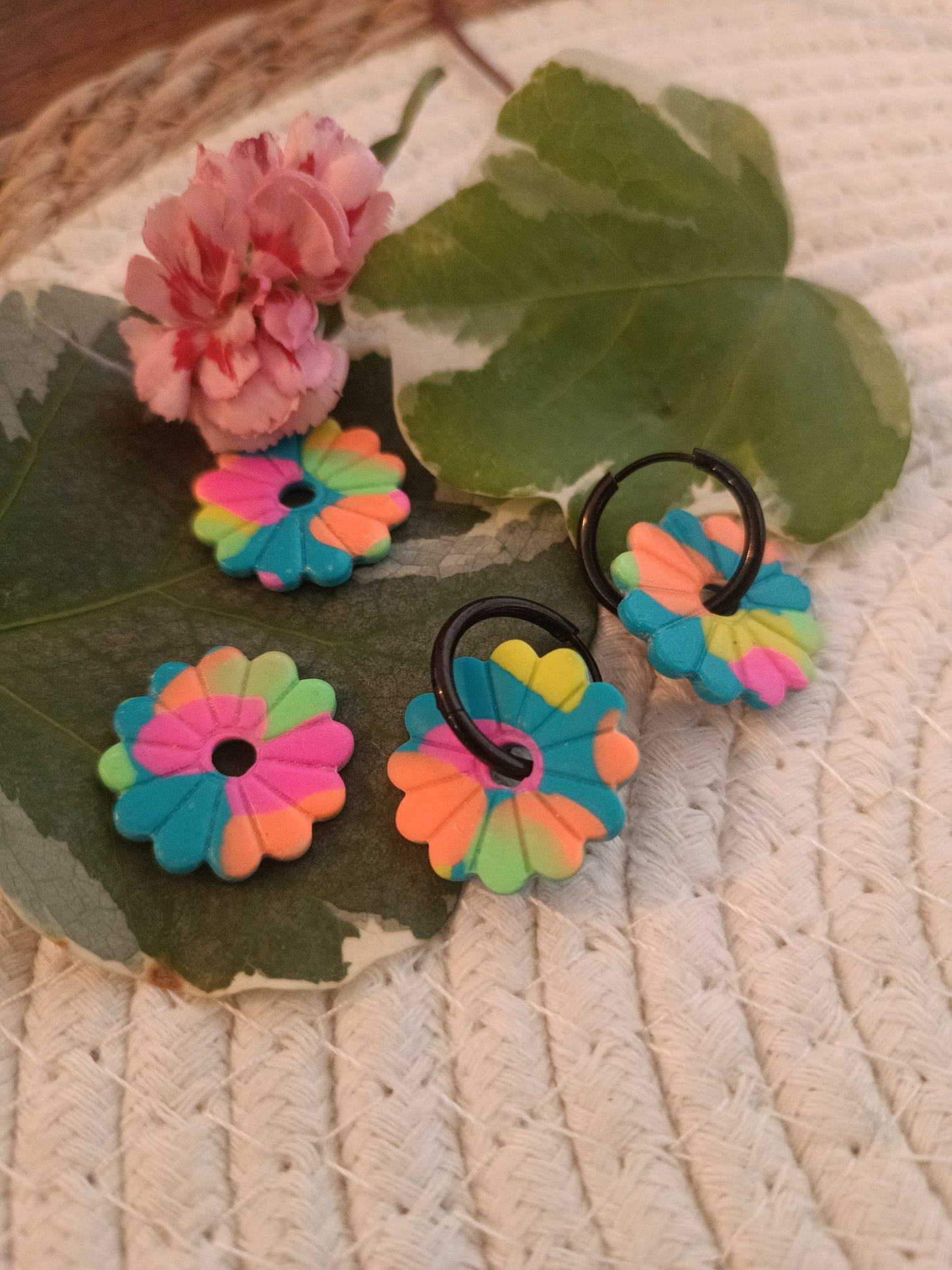 Collection Fluo