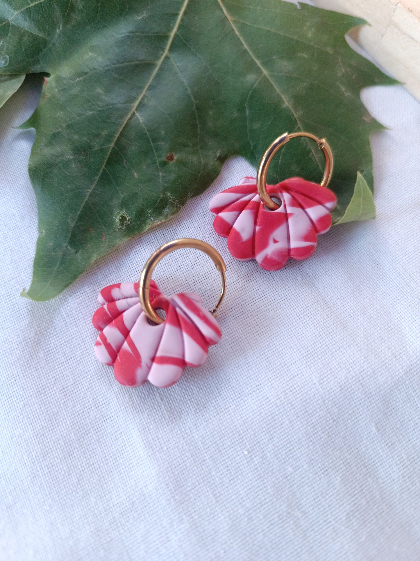 Collection Coquillages