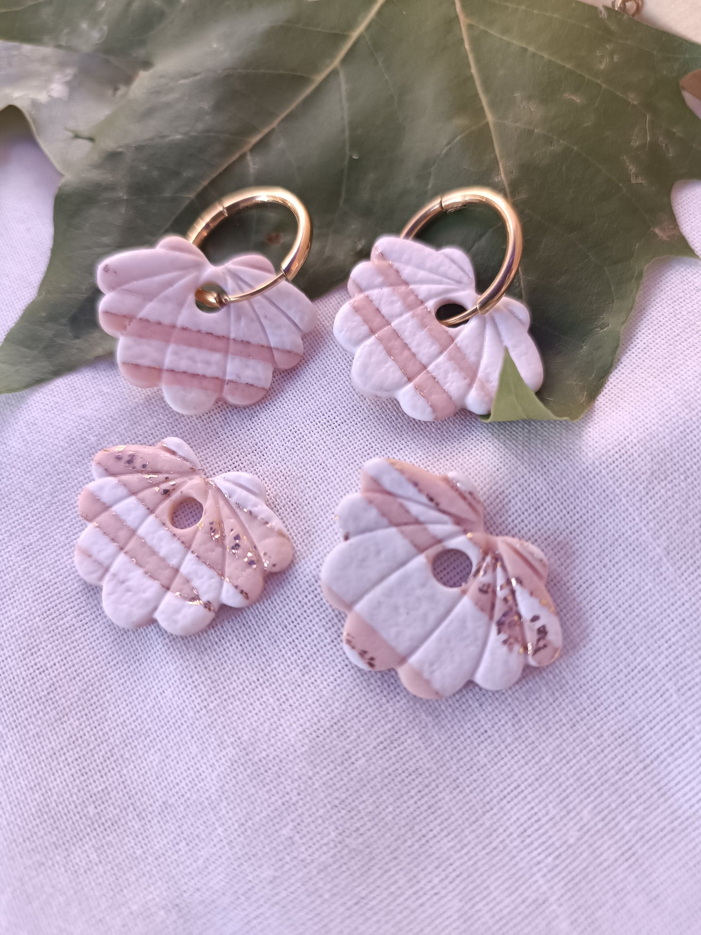 Collection Coquillages