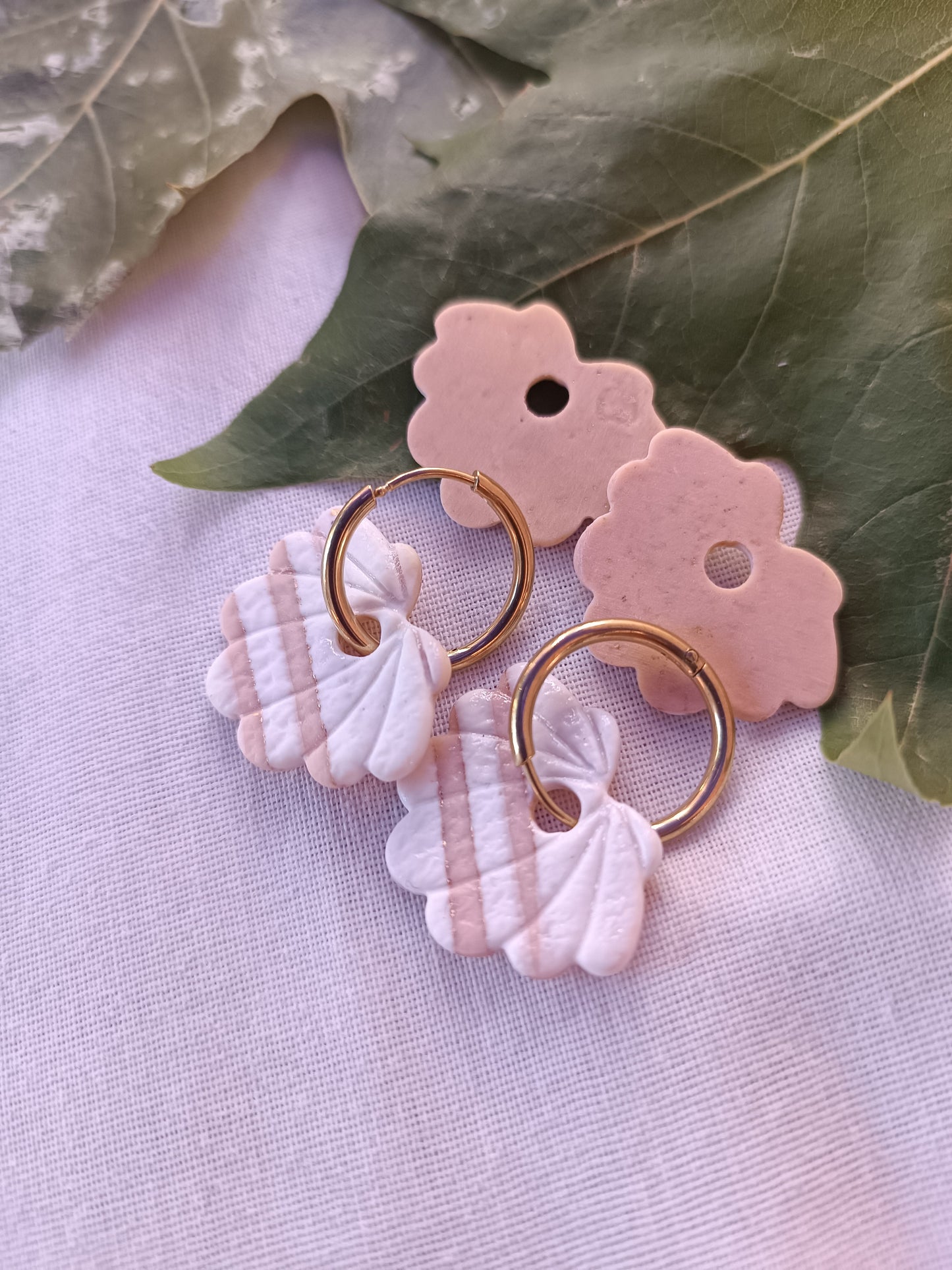 Collection Coquillages