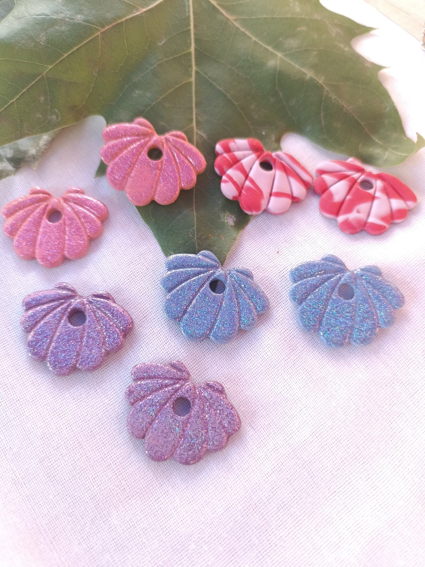 Collection Coquillages