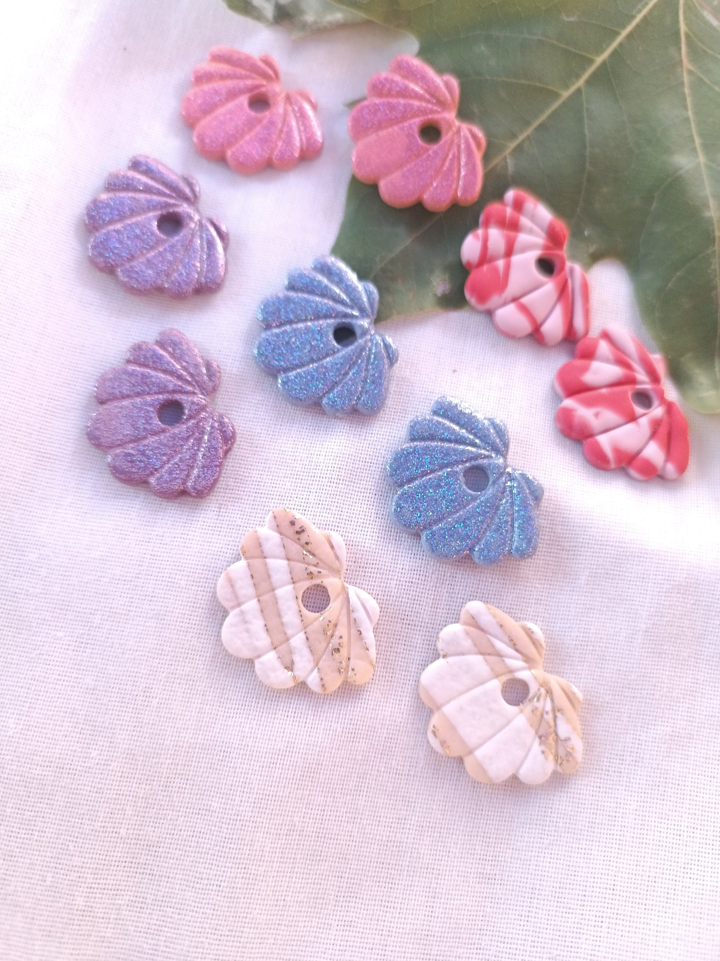 Collection Coquillages