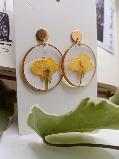 Bouton d'Or #1