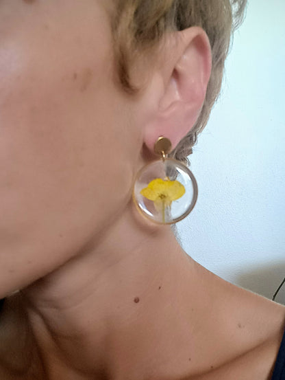 Bouton d'Or #1